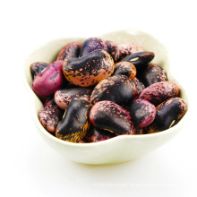 Large Black Speckled Kidney beans(LBSKB) Yunnan Origin